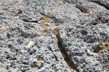 Felsiger Boden (Hintergrund)
