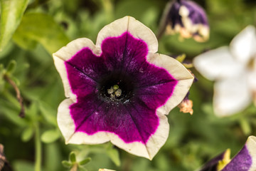 Obraz premium Blick in die Landschaft