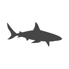 Shark sign, Shark icon