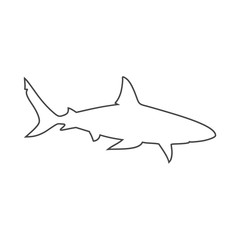 Line Shark sign, Shark icon