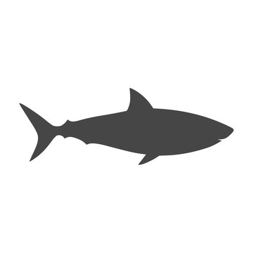 Shark sign, Shark icon