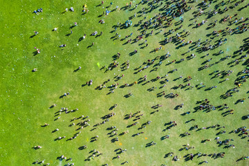 View from the height of the people at the Holi Colors Festival