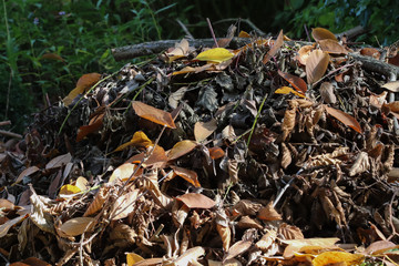 Reisighaufen im Naturgarten