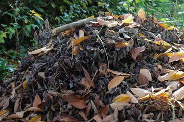 Reisighaufen im Naturgarten