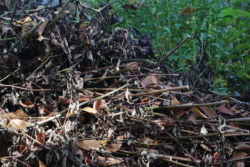 Reisighaufen im Naturgarten