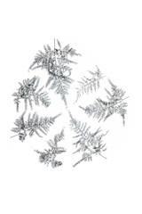 silver leaves on white background