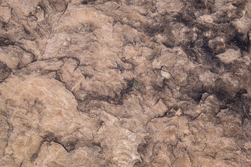 Stone floor background texture, abstract