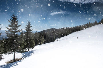Fototapeta na wymiar Winter landscape with fir trees, snowflakes
