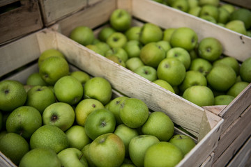 Green organiz apples in open wooden boxes