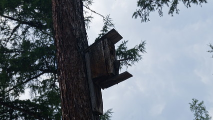 Скворечник © Spiel