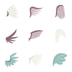 Feather wing bird icons set, cartoon style