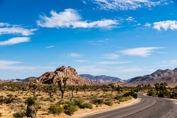 Straße durch den Joshua Tree National Park Kalifornien