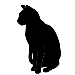 Cat. Silhouettes. Animal. Kitten. The black. Cute.