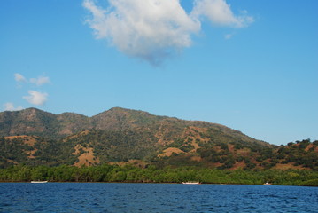 Côte de Flores, Indonésie