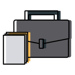 Briefcase and documents