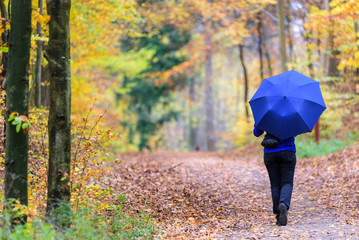 Female in blue with umbrella in the bright autumn colors