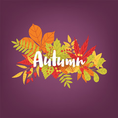 Hand written calligraphic word Autumn against bunch of colorful fallen tree leaves and branches on background