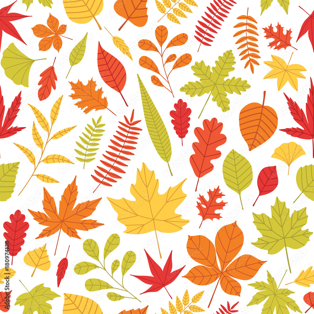 Aufkleber Elegant seamless pattern with fallen autumn leaves of various type and color on white background. Autumnal backdrop with colorful foliage. Vector illustration for textile print, wrapping paper.