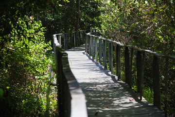 Cahuita - Costa Rica