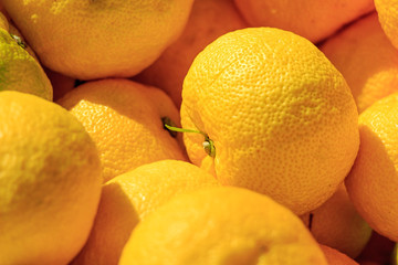 Many Yuzu in the container