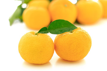 Kito Yuzu on white background