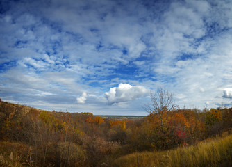 Fototapeta premium Autumn landscape. View of the forest with yellow foliage against the background of a cloudy sky.
