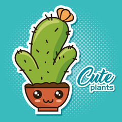 cute kawaii cactus and succulent cartoon