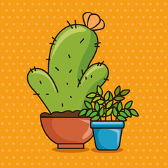 cute kawaii cactus and succulent cartoon