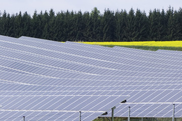 Solar Power Plant