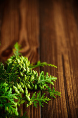 Branch of green thai