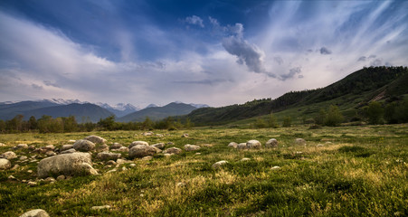 Fototapeta premium Landscape