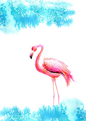 Flamingo in water and blue sky. Exotic bird on a white background. Watercolor hand drawn illustration. 