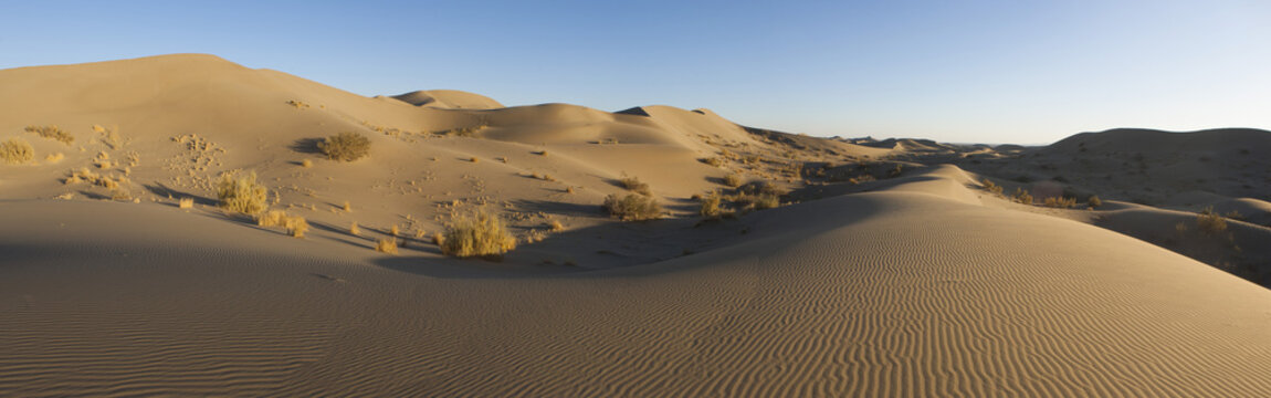 Varzaneh Dunes Desert, Iran