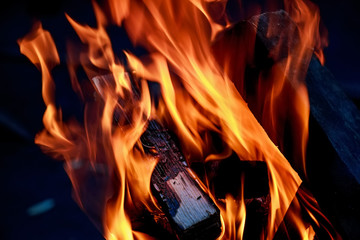 Flame fire close-up