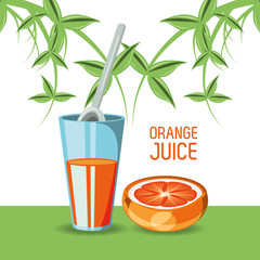 orange juice glass icon over white background colorful design vector illustration