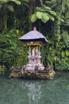 Pond of the temple of Gunung Kawi, holy water, Sebatu village, Bali, Indonesia