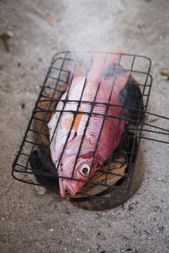Vivaneau on a makeshift barbecue, Pulau Messah, Flores, Indonesia