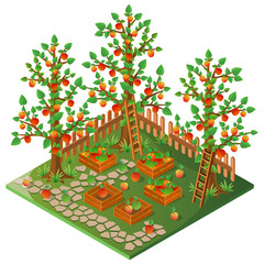 Orchard. Autumn harvest of apples. 3D isometric view. Vector illustration.