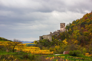 Fototapeta na wymiar Spitz castle with autumn vineyard in Wachau valley, Austria.