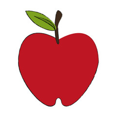 Delicious apple fruit