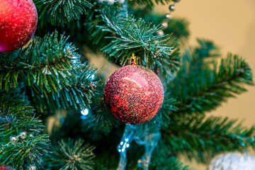 Christmas decorations on the branches of fir tree