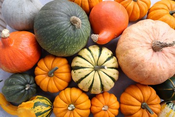 Pumpkins and squash.