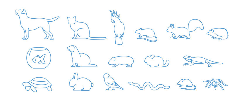 Collection Of Pet Icons Drawn With Blue Contour Line On White Background. Set Of Domestic Animal Linear Symbols. Vector Illustration.