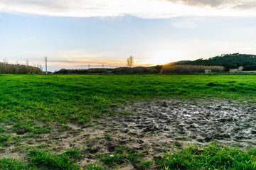 Fototapeta na wymiar Wet mud puddle in field and sunset