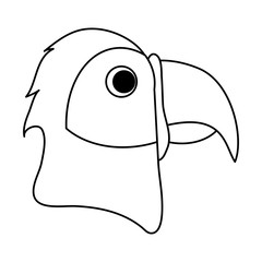 Parrot head cartoon