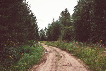 Fototapeta na wymiar Sand road in the woods on a summer day.