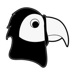 Beautiful parrot bird