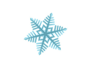 Winter Detailed Snowflake Digital Illustration - Graphic Design