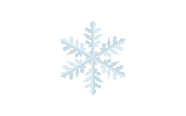 Winter Snowflake Christmas - Dimension Style, Tow Coloreed - Digital Illustration