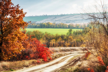 Obraz premium dirt road leading down on a beautiful autumn landscape